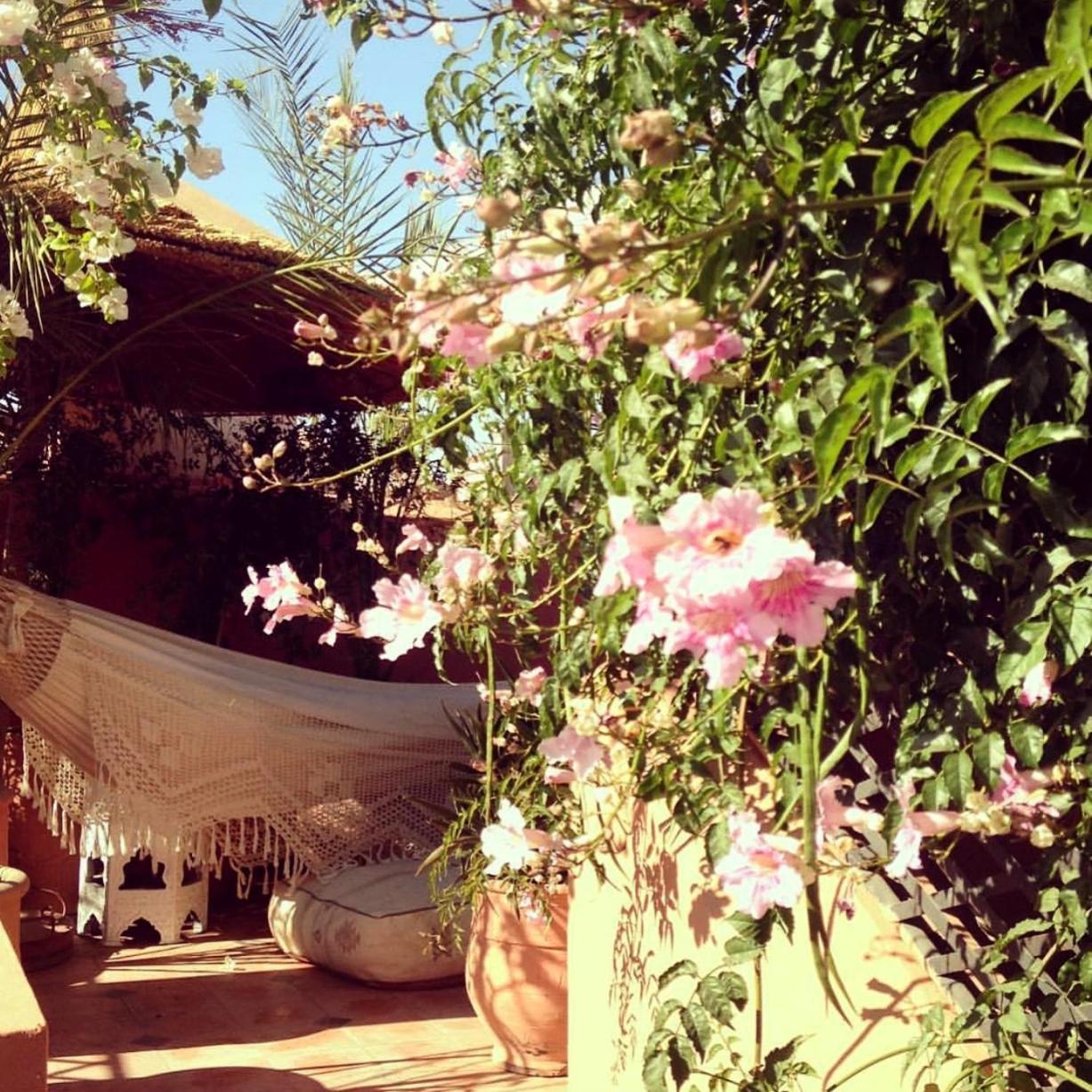 马拉喀什The Bohemian Jungle住宿加早餐旅馆 外观 照片